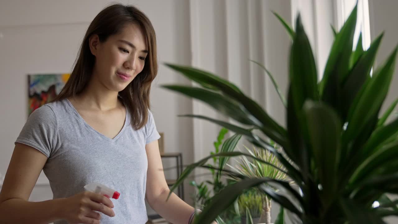 日本妇女在家里给植物浇水视频素材