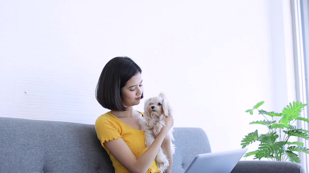 亚洲妇女在客厅的沙发上用笔记本电脑和马耳他狗。视频素材