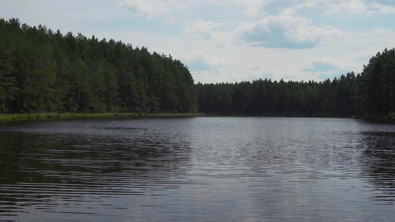 在多云的夏天，有湖和海滩上的绿色森林的自然背景。视频素材