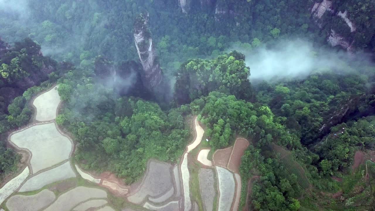 张家界国家公园鸟瞰图，农田建在山顶。视频素材