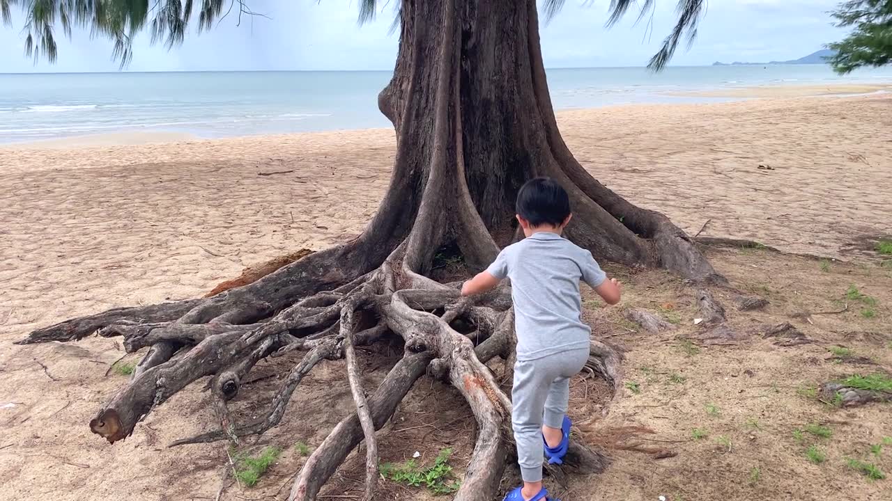 男孩在树根上醒来视频素材画面1