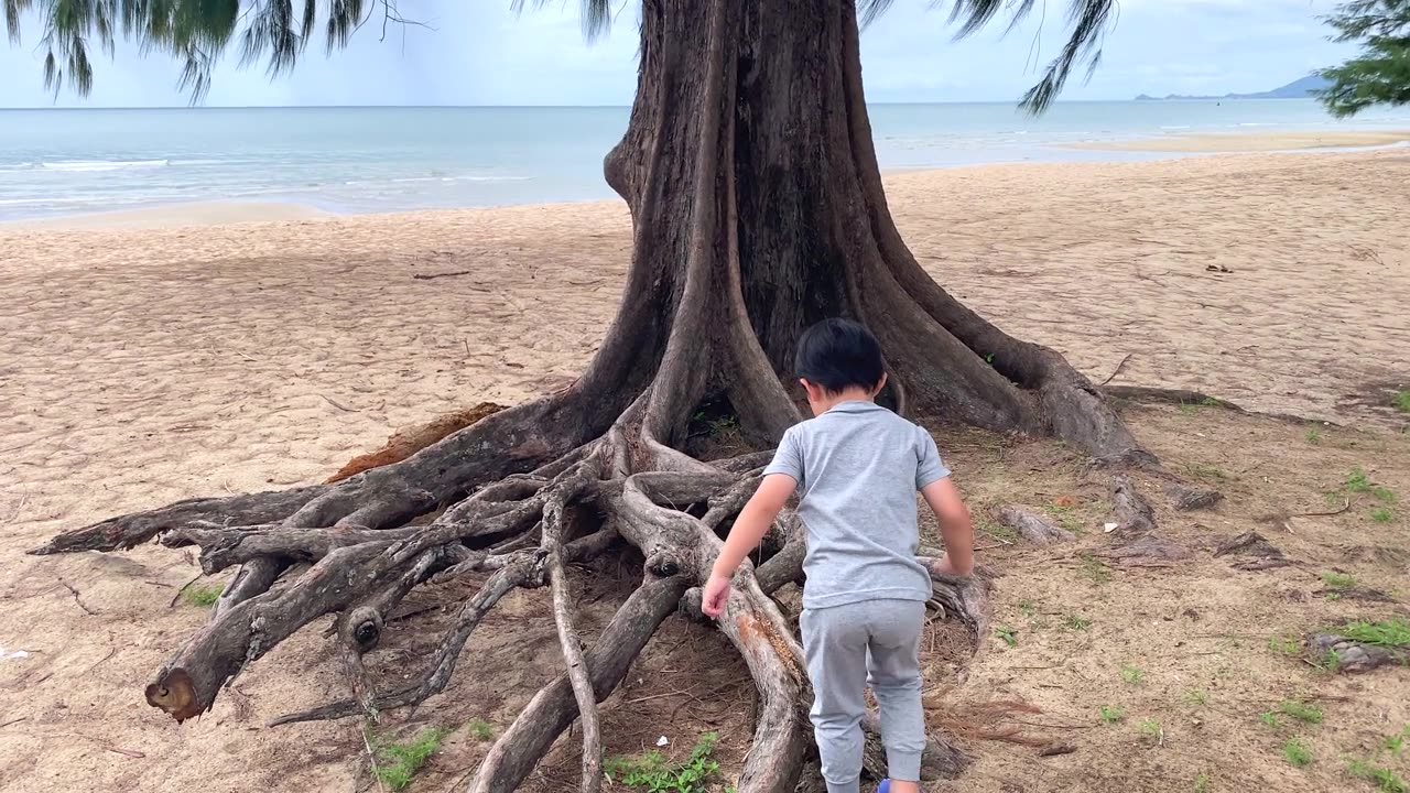 男孩在树根上醒来视频素材画面2