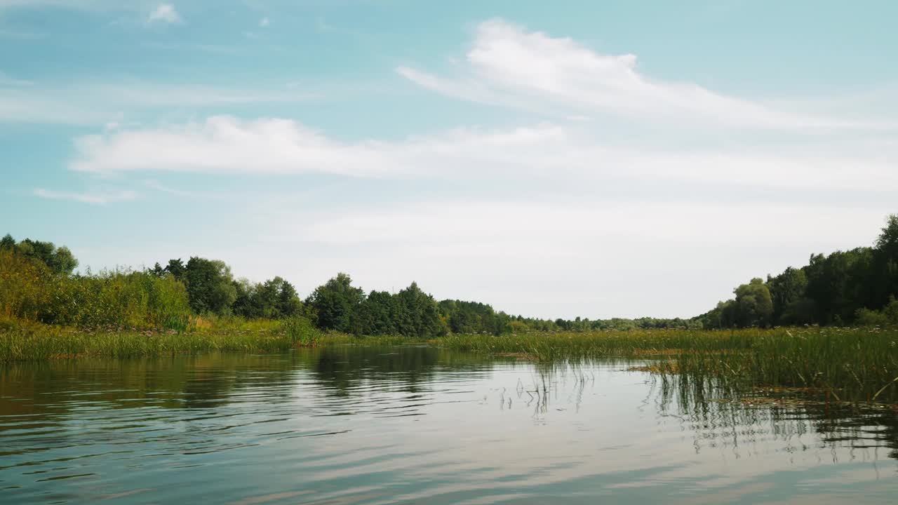 河在夏天。水中树木的倒影。水面上的全景。夏季河流景观。视频素材