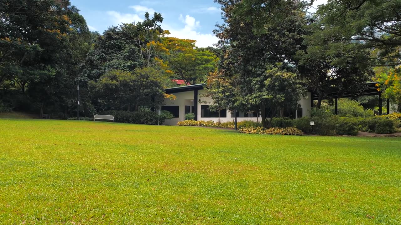 搬到花园中的绿房子视频素材画面3