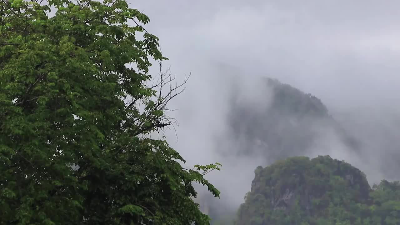 在季风雨季，云雾笼罩着泰国的自然区域。视频素材