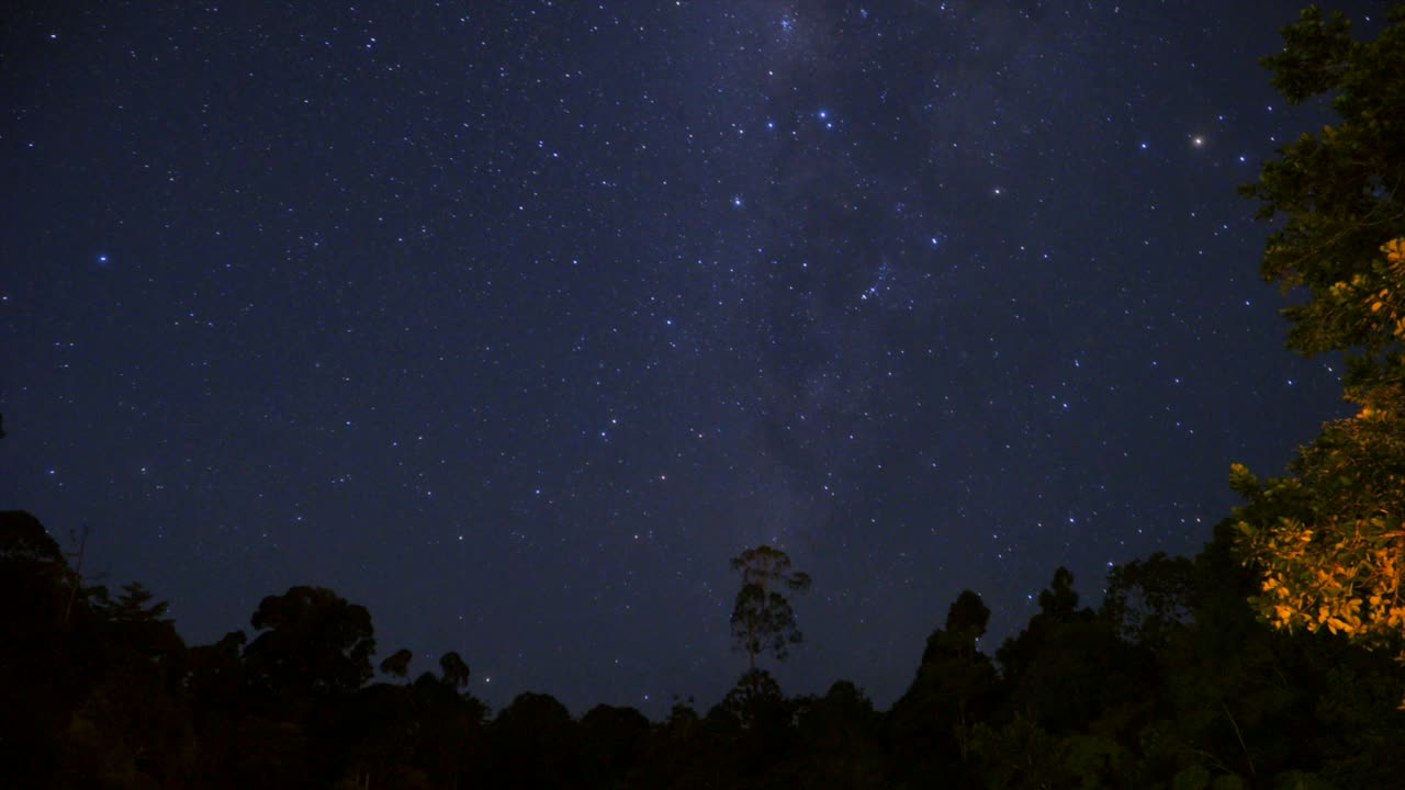 在夜空中，在热带雨林中行走的Bristlehead塔上的星星的延时镜头视频素材