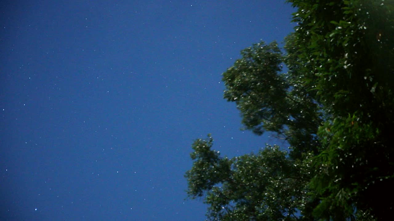 在夜空中，在热带雨林中行走的Bristlehead塔上的星星的延时镜头视频下载