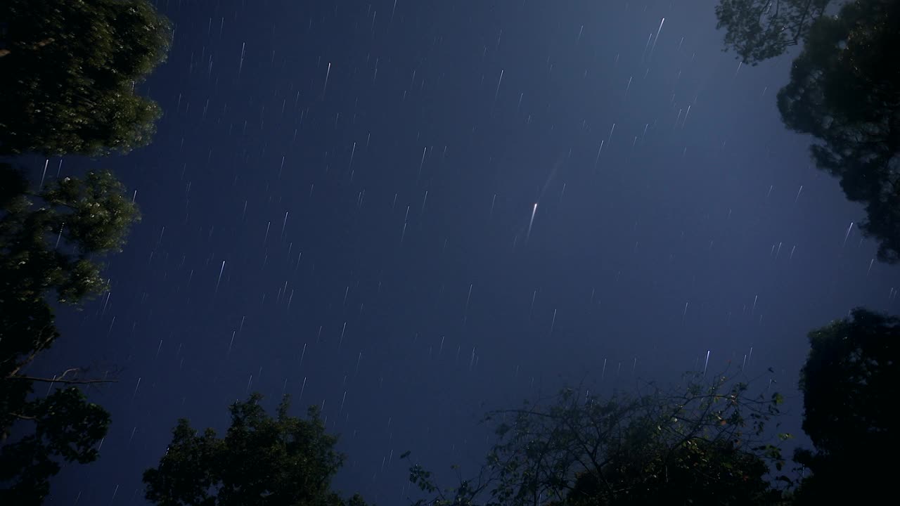 在夜空中，在热带雨林中行走的Bristlehead塔上的星星的延时镜头视频下载