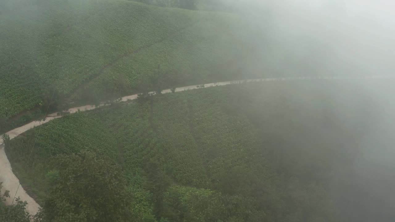 浓雾中的村庄视频素材