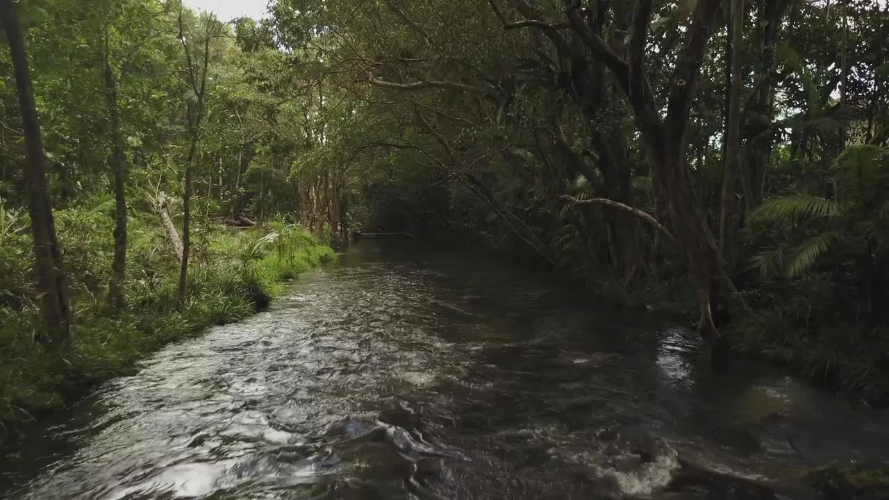 无人机鸟瞰澳大利亚昆士兰风景低水平的河流和森林视频素材