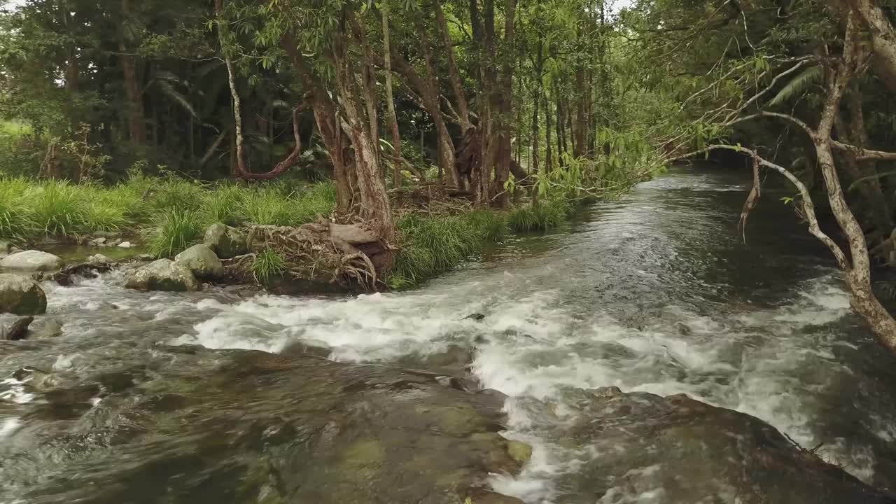 无人机鸟瞰澳大利亚昆士兰风景低水平的河流和森林视频素材