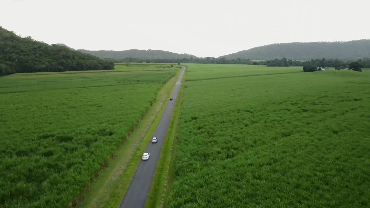 无人机鸟瞰图昆士兰澳大利亚甘蔗农业视频素材