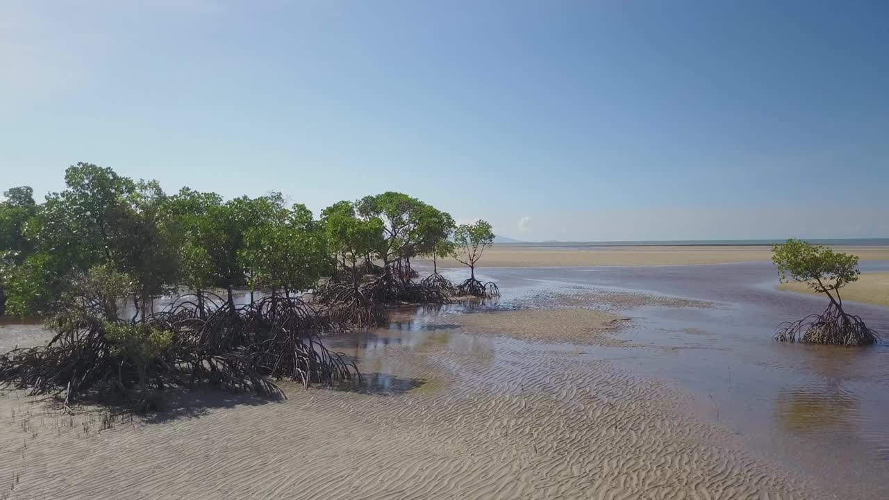 无人机鸟瞰澳大利亚昆士兰海洋红树林风景视频素材