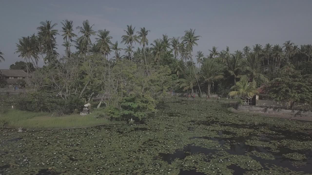 印度尼西亚达萨/巴厘岛寺的风景视频素材