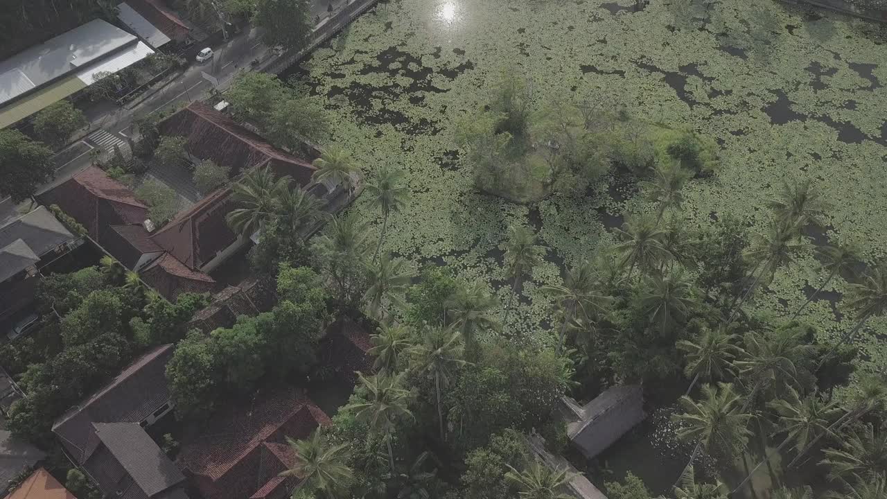 印度尼西亚达萨/巴厘岛寺的风景视频素材