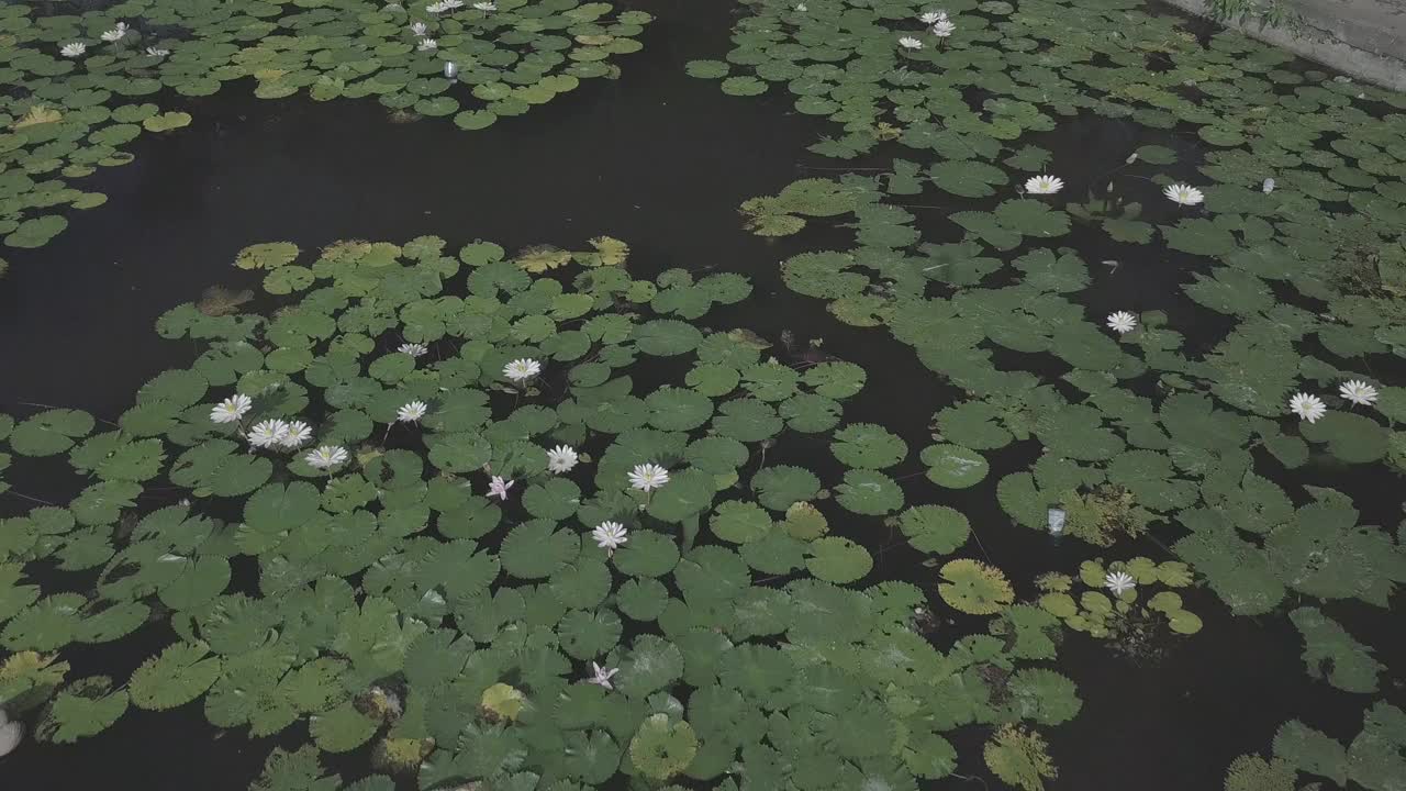 印度尼西亚达萨/巴厘岛寺的风景视频素材