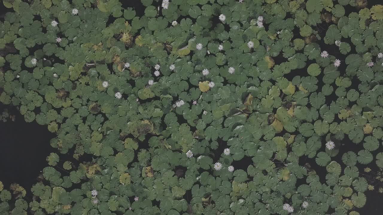 印度尼西亚达萨/巴厘岛寺的风景视频素材