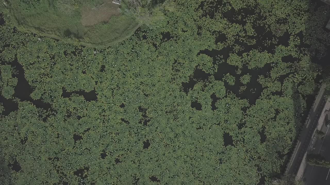 印度尼西亚达萨/巴厘岛寺的风景视频素材