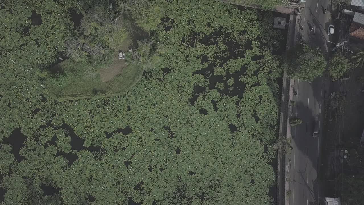 印度尼西亚达萨/巴厘岛寺的风景视频素材