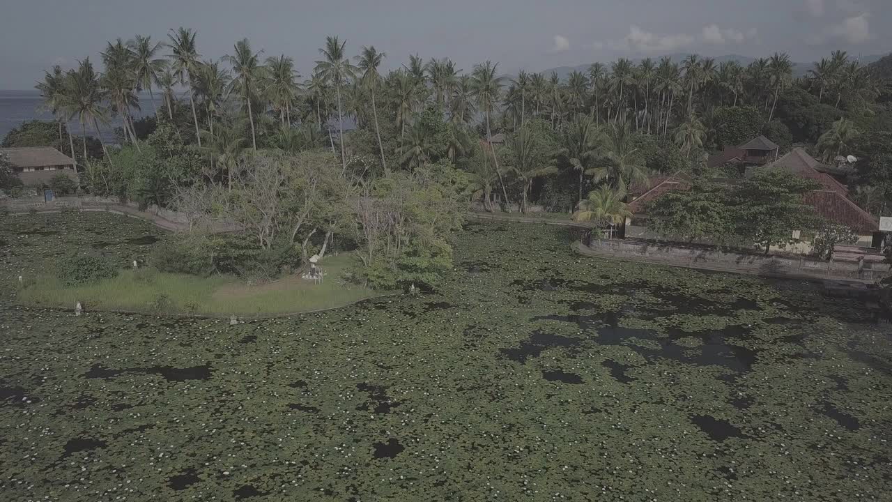 印度尼西亚达萨/巴厘岛寺的风景视频素材