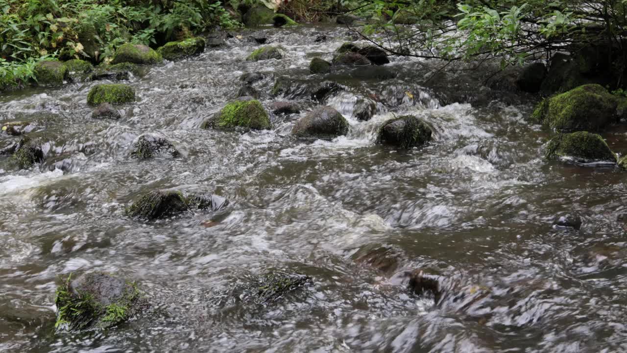 河水湍急视频下载