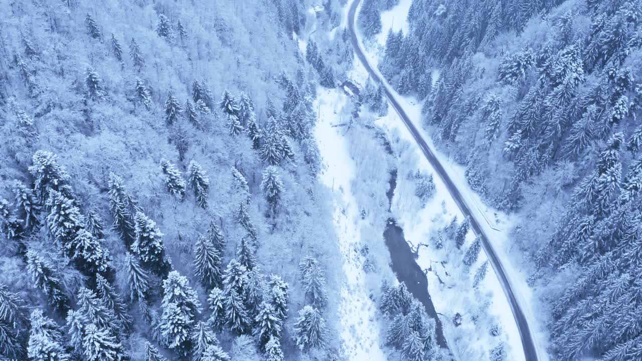 4K无人机飞过积雪覆盖的茂密松树林、蜿蜒的道路和山间河流视频素材