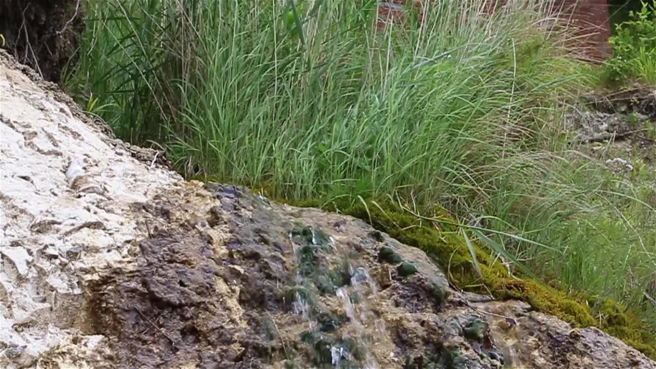 波罗的海沿岸视频素材