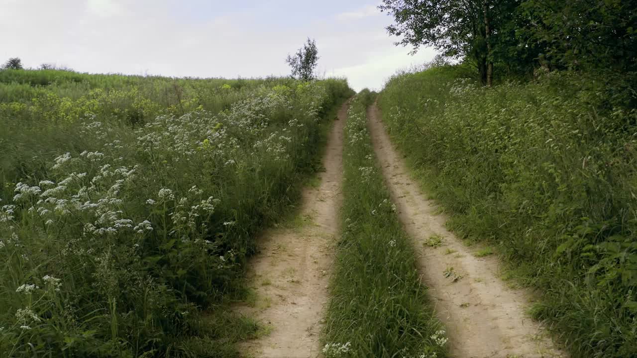 沿着乡间小路上山的第一人称视角视频素材