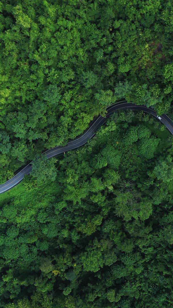 森林中当地道路的鸟瞰图，以实现可持续的生活方式视频素材