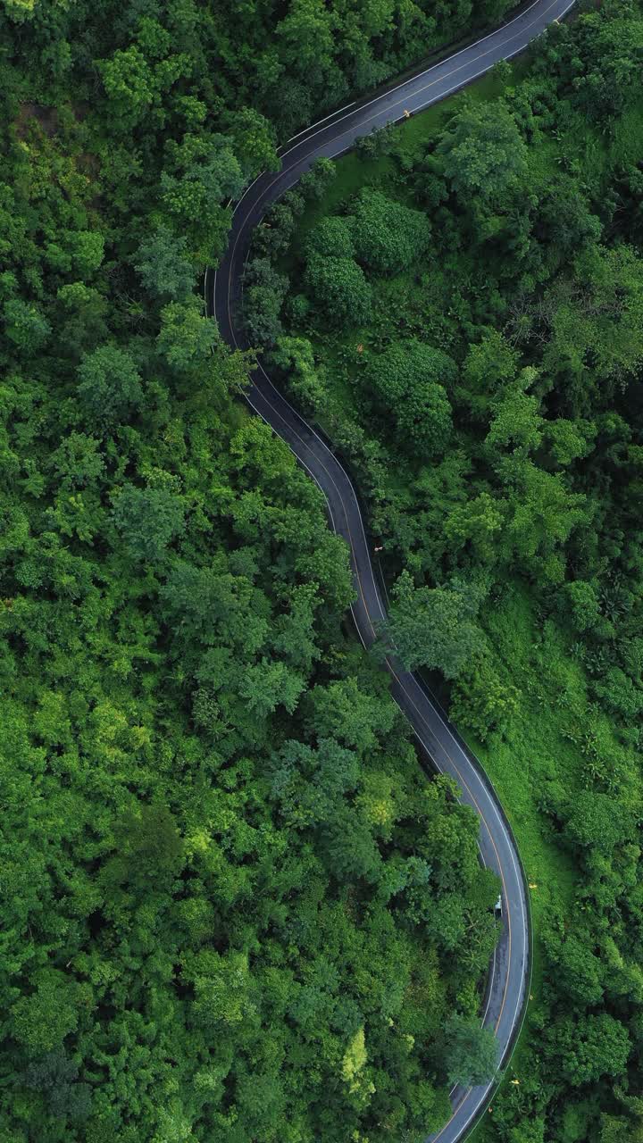 森林中当地道路的鸟瞰图，以实现可持续的生活方式视频素材