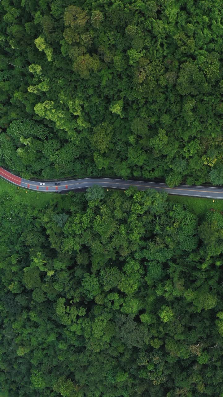 森林中当地道路的鸟瞰图，以实现可持续的生活方式视频素材