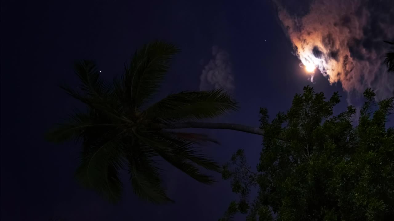 垂直延时的夜空与满月和移动的云。视频素材