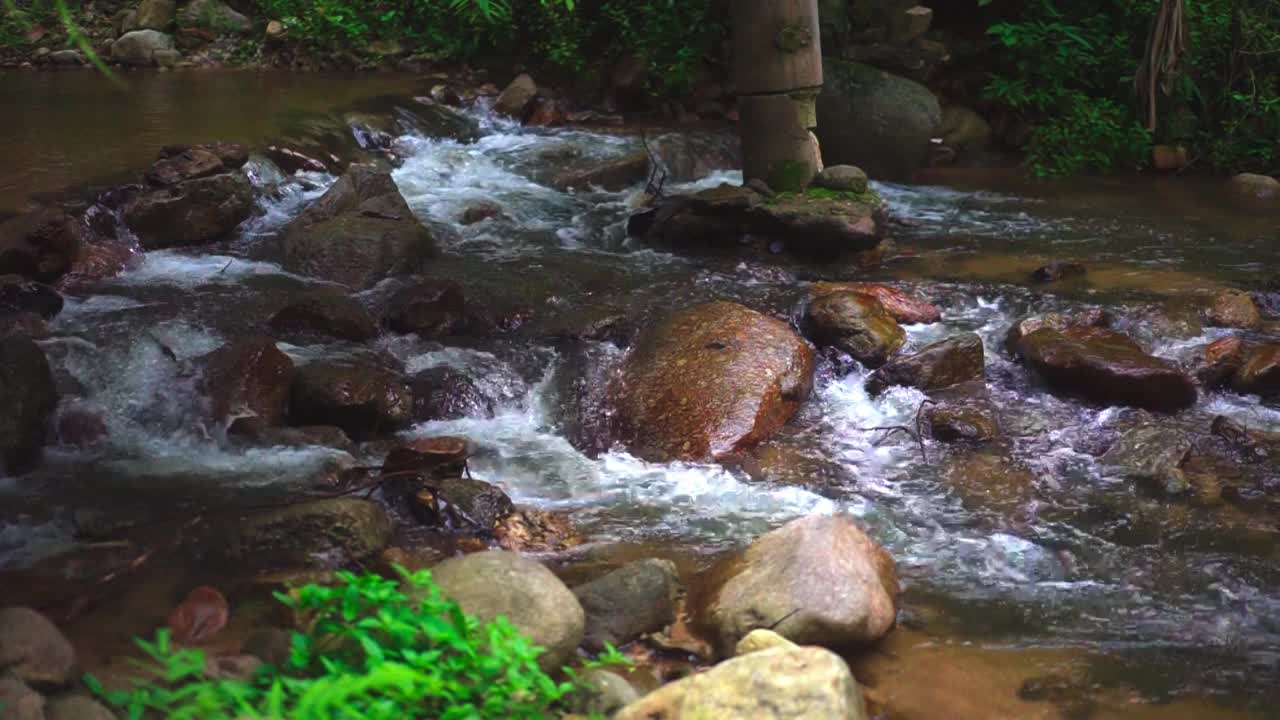 慢动作景观小溪流在雨季视频素材