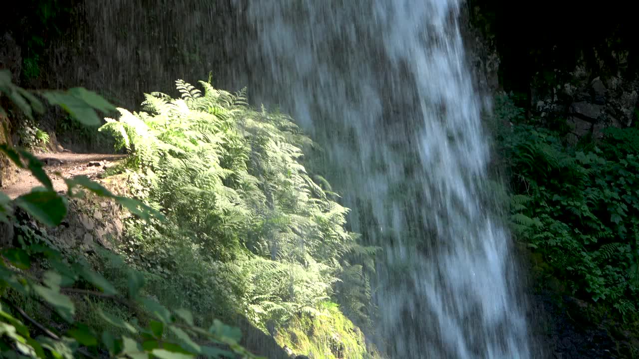 中北瀑布位于俄勒冈州的银瀑布州立公园视频素材