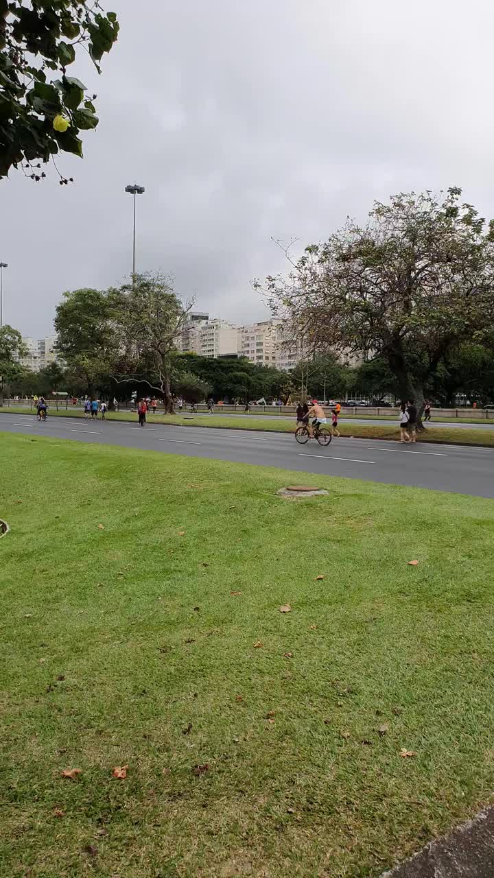 在里约热内卢的弗拉门戈公园的周日活动视频素材