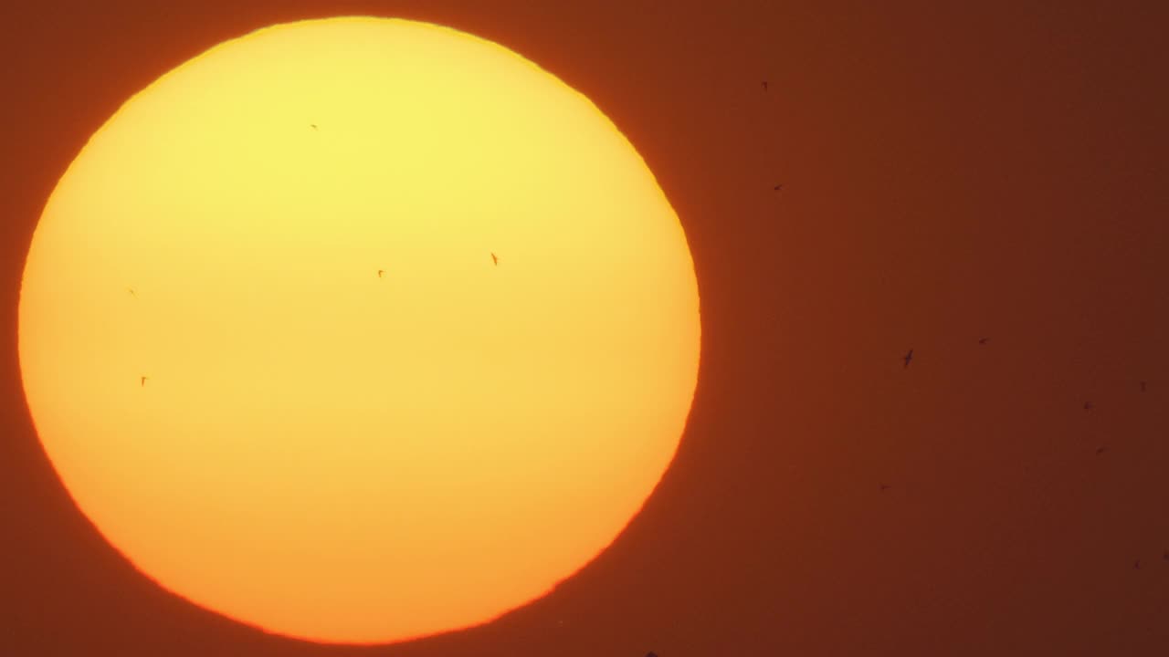 飞鸟的巨大太阳背景视频素材