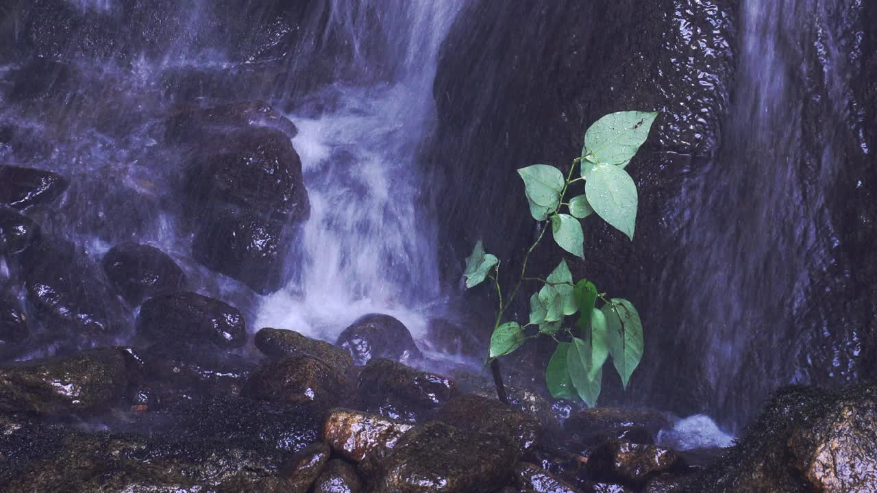 高山流水视频素材