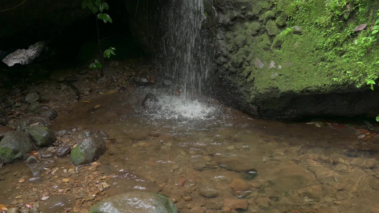 热带绿色森林中的瀑布。河流在绿色的森林。可持续旅游的概念。在绿色的森林里徒步旅行。徒步旅行的概念。Amatlan、墨西哥视频素材