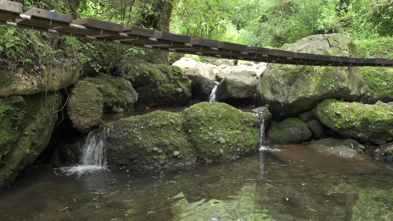 悬索桥，徒步与森林的风景。可持续旅游的概念。在绿色的森林里徒步旅行。徒步旅行的概念。Amatlan、墨西哥视频素材