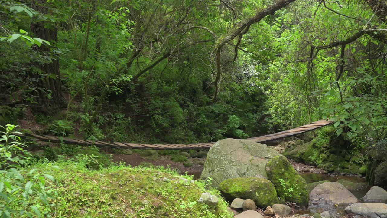 悬索桥，徒步与森林的风景。可持续旅游的概念。在绿色的森林里徒步旅行。徒步旅行的概念。Amatlan、墨西哥视频素材