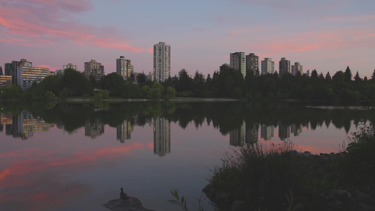 在一座高楼林立的现代城市里，著名的斯坦利公园里的失落的泻湖视频素材