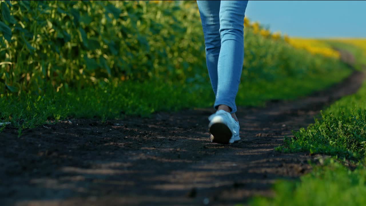 特写镜头，女人的腿走在城外的路上。一个穿着白色运动鞋的女人正沿着一条乡间小路走着。底部视图。4 k, ProRes视频素材