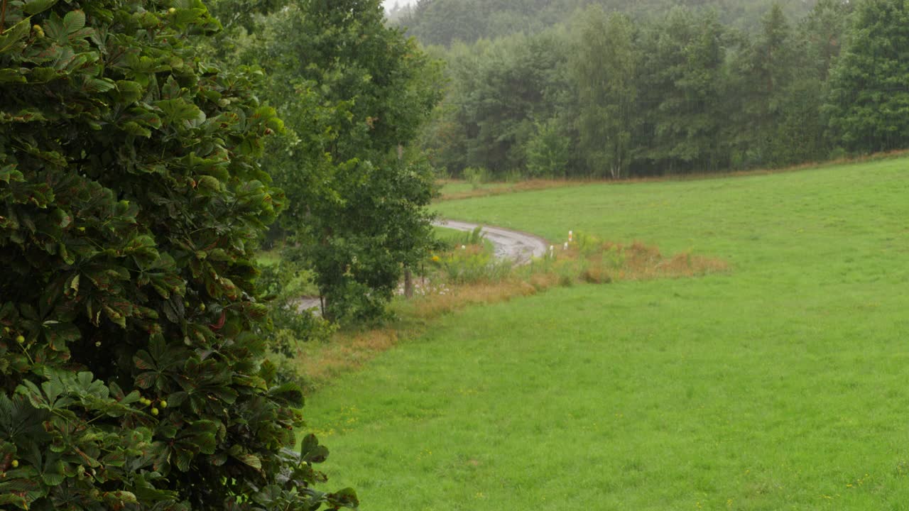 森林和农田背景下的大雨。夏雨。淋浴坏天气。雨落在绿色植物的叶子上。平静放松冥想和平的背景。秋天多雨的天气。视频素材