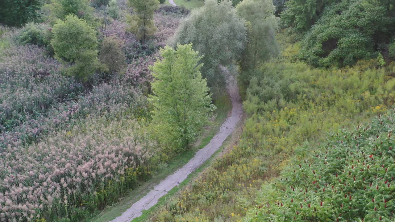 加拿大沃恩，伍德布里奇，伊斯灵顿大街的住宅分区鸟瞰图，独立和复式住宅视频素材