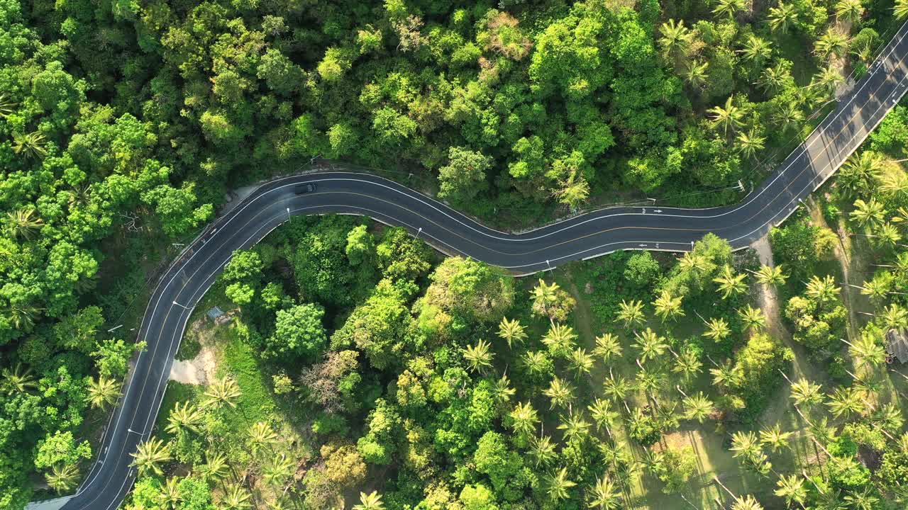 森林公路之旅的鸟瞰图。视频素材