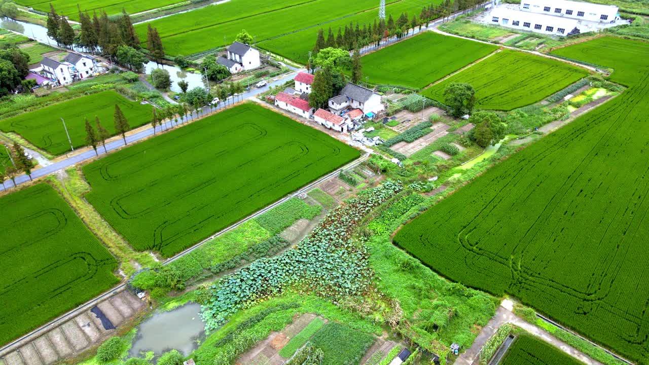 农田的鸟瞰图视频素材