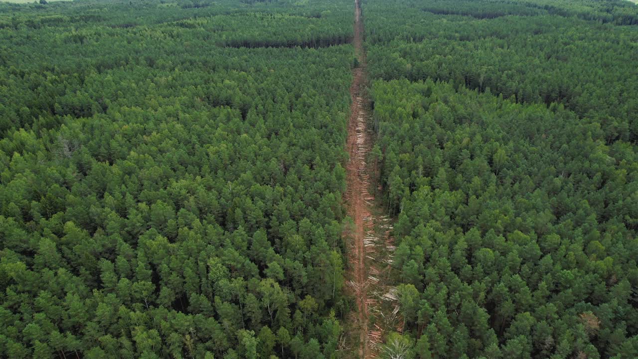 砍伐森林的无人机视图监测。四轴飞行器跟踪非法砍伐森林。无人机为环境服务。视频素材