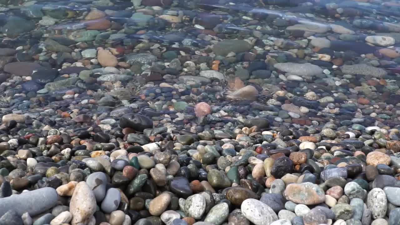 海卵石岸，特写，慢镜头视频素材