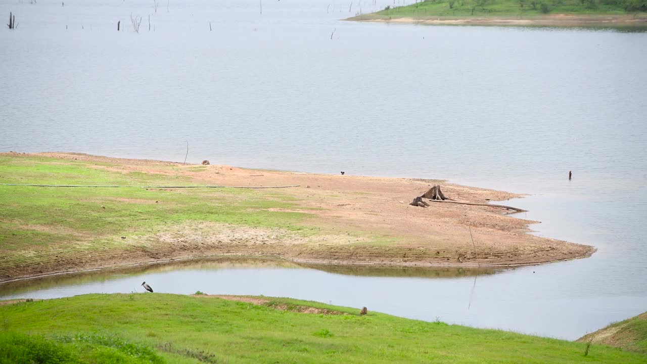 湖泊和河流背景视频素材