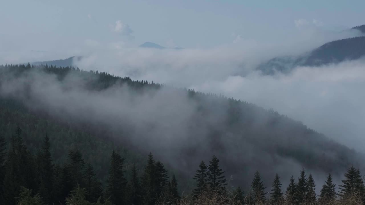 喀尔巴阡山脉在浓雾中的全景视频剪辑。雾在喀尔巴阡山上翻滚视频素材